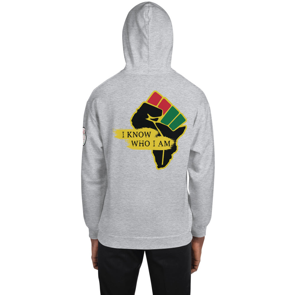 
                  
                    Load image into Gallery viewer, MA30: KnowThySelf Africa 3 print Hoodie $85
                  
                