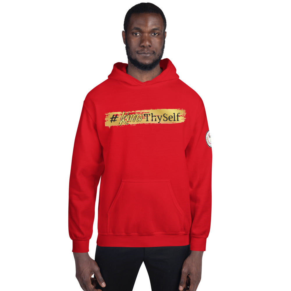 
                  
                    Load image into Gallery viewer, MA30: KnowThySelf Africa 3 print Hoodie $85
                  
                